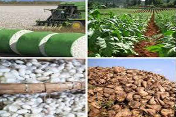 2020-ci ildən subsidiyalar bu qayda ilə veriləcək