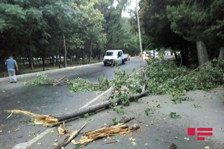 Güclü külək Mingəçevirdə ciddi fəsadlar törədib