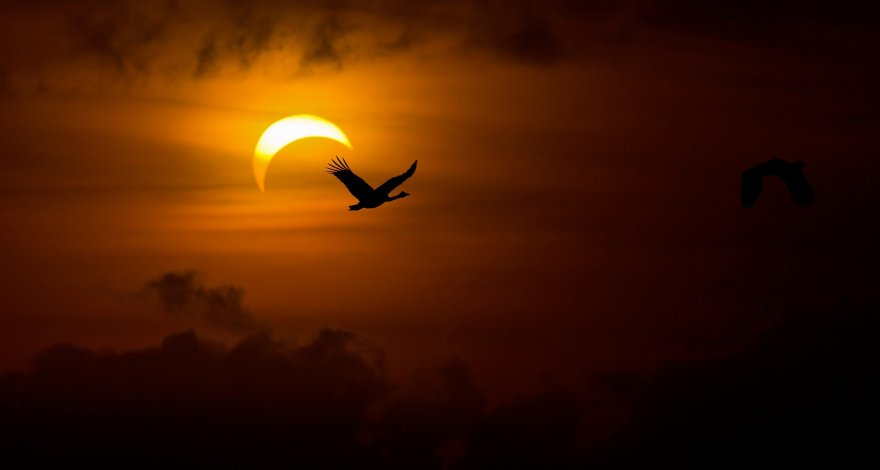 Завтра будет наблюдаться полное солнечное затмение