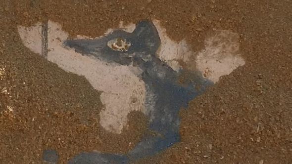 Misirdə qəribə mumiyalar tapıldı - FOTO