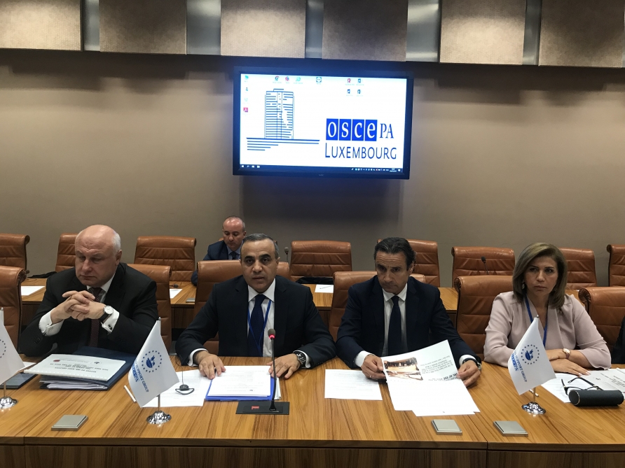 Azay Quliyev yenidən ATƏT PA-nın “İpək Yoluna Dəstək Qrupu”nun sədri seçilib