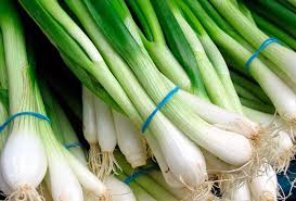 Yaşıl soğanın dişlərə faydası — Ağrını kəsir