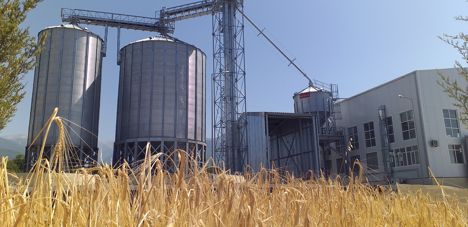 Şəkidə Toxum Emalı Zavodu fəaliyyətə başlayıb