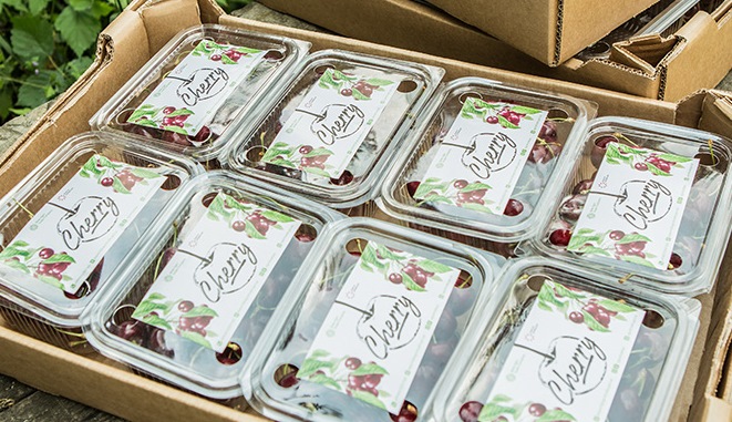 AZƏRBAYCAN GİLASI NİGERİYADA