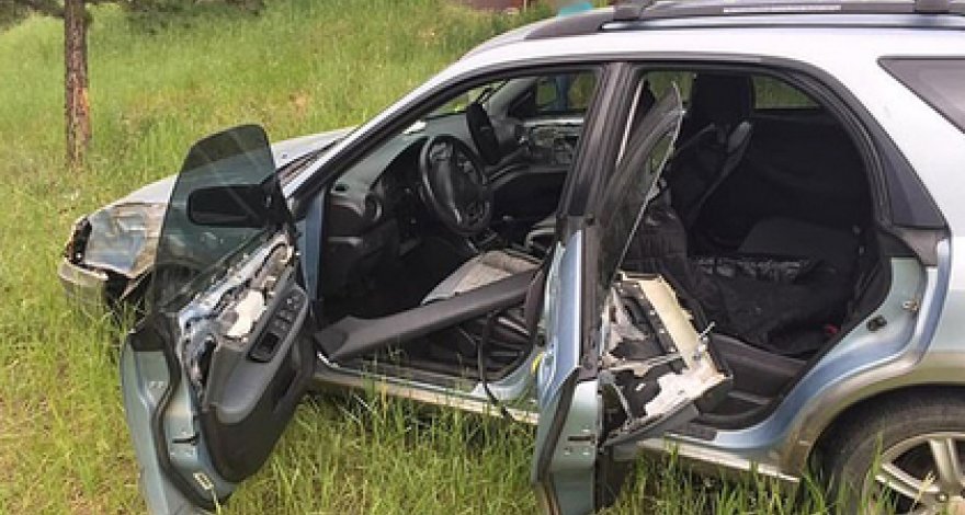 Медведь сел в машину и разбился