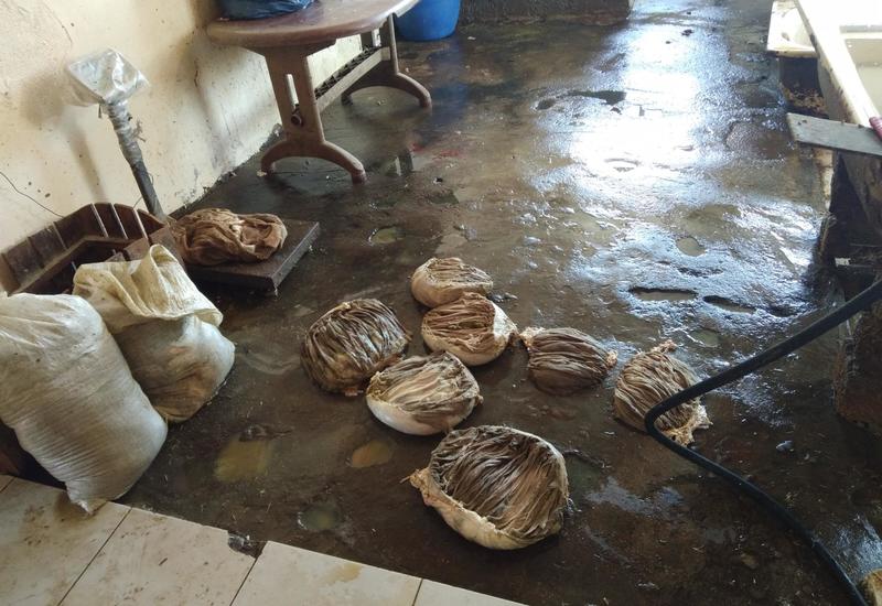 Жуткие кадры в одном из цехов в Баку - ФОТО