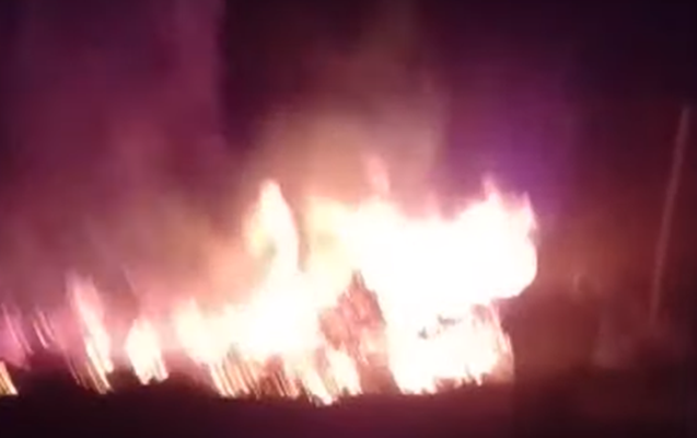 SON DƏQİQƏ-Yevlaxda meşədə güclü yanğın - Xəsarət alan var-VİDEO