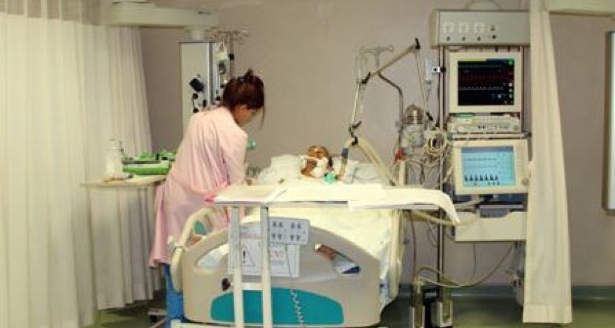 В Баку сильный ветер повалил деревья на женщину и три автомобиля – ФОТО