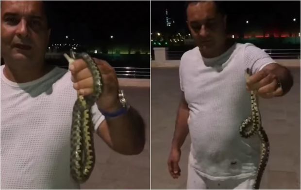 По Бакинскому бульвару ползают змеи - ВИДЕО