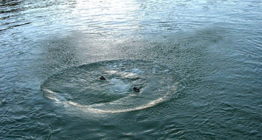 Найдено тело парня, утонувшего в Гусарах