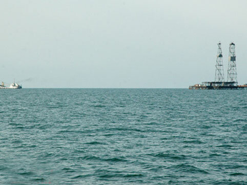 Xəzər dənizində qəribə canlı peyda oldu - İnsanlar vahiməyə düşdü (VİDEO)