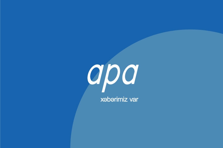“İLİN ƏN YAXŞI AGENTLİYİ” bəlli oldu – APA