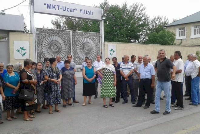 Ucar səhmdarlarından kütləvi etiraz – Prezidentə müraciət edildi