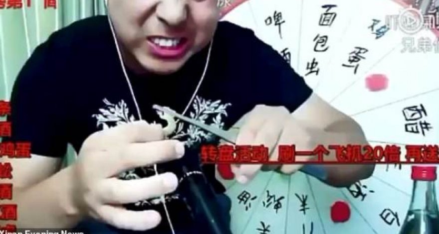 Блогер умер в прямом эфире во время поедания гекконов и многоножек