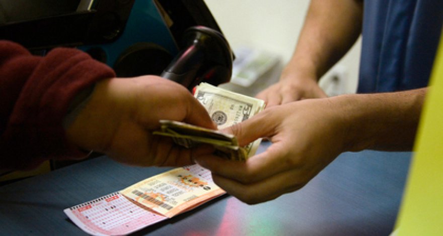 Собака помогла мужчине стать миллионером