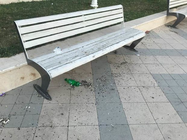 Неприглядная картина в парках Азербайджана: экологи бьют тревогу - ФОТО