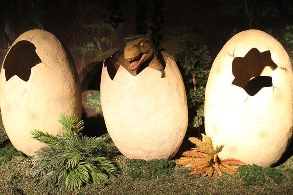 Мальчик нашел яйца динозавра в Китае