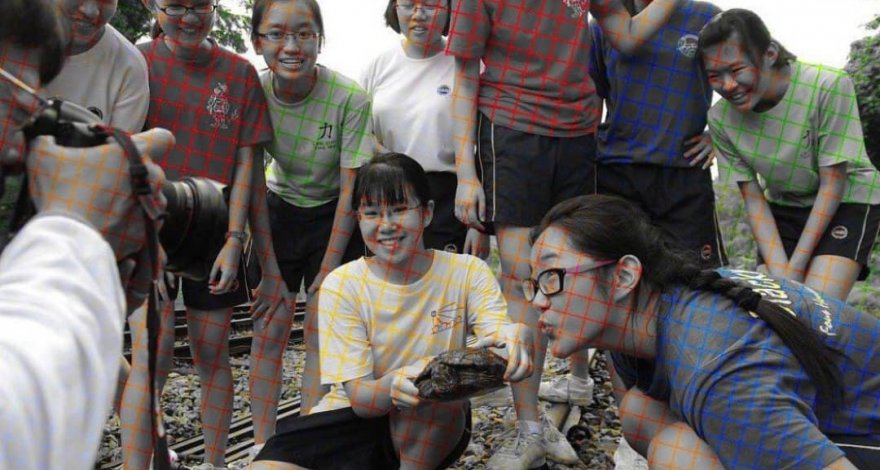 Кажущийся цветным черно-белый снимок запутал пользователей сети