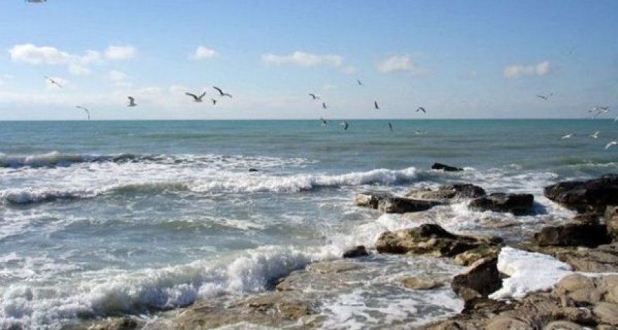 Министерство экологии и природных ресурсов подало в суд на несколько центров отдыха