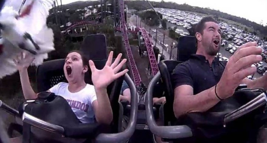 Птица врезалась в катавшуюся на американских горках девочку – ВИДЕО