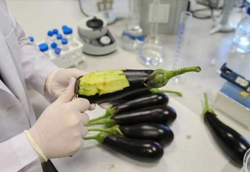 Dəri xəstəliklərini müalicə edən İNANILMAZ YENİLİK