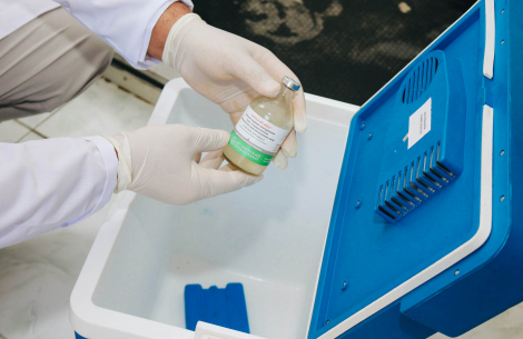 Aqrar Xidmlər Agentliyi yaylaqlarda səyyar baytar xidməti göstərir