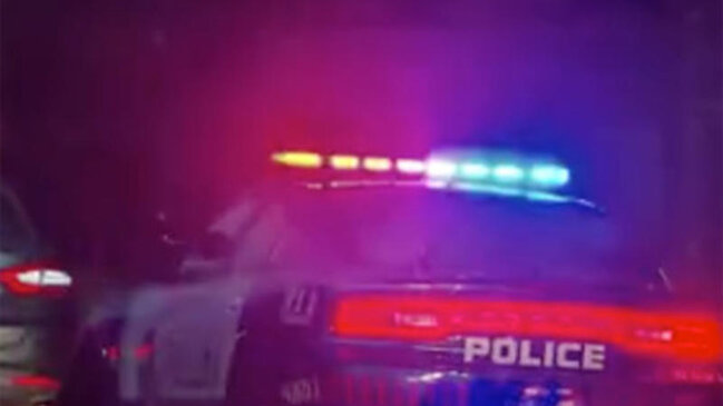 İti öldürməyə çalışan polis qadını güllələdi - ŞOK