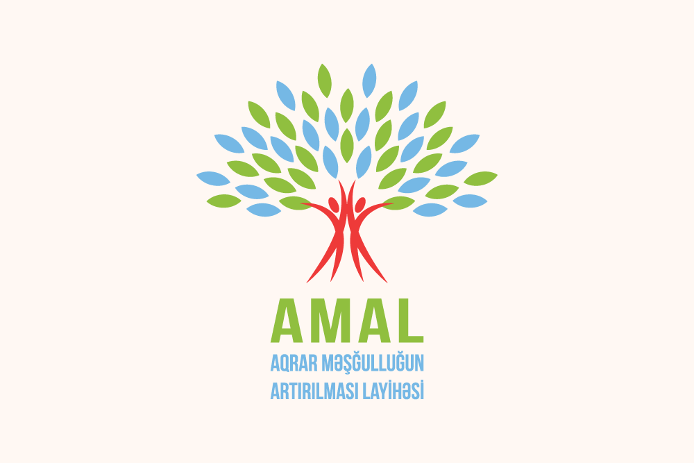 AMAL Akademiyasının YAY Məktəbinə qeydiyyat başlayır