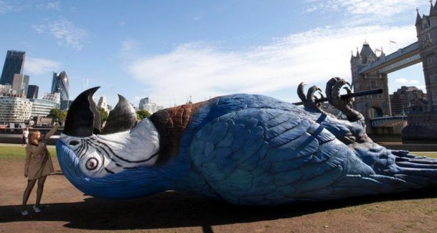 В Новой Зеландии нашли останки крупнейшего в мире попугая