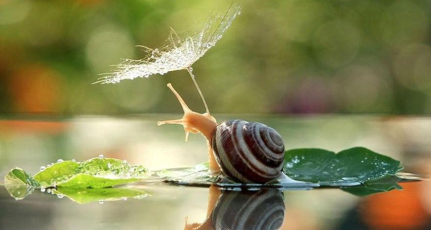 Какой будет погода завтра?