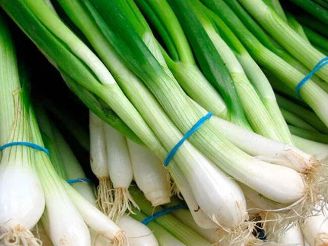 Yaşıl soğanın dişlərə faydası - Ağrını kəsir