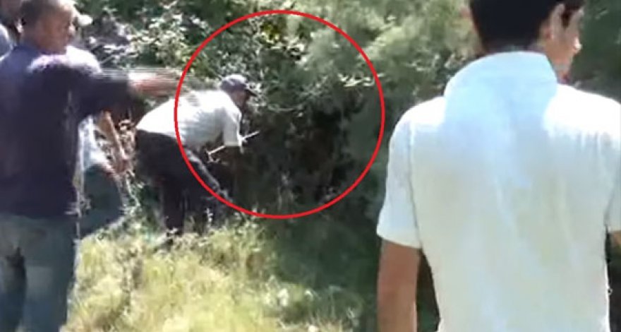 Неизвестное существо терроризирует жителей села Уджарского района - ВИДЕО