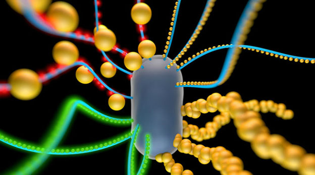 Gələcəkdən gələn dərman tapıldı – Bu məlhəm daxildəki sağalmaz yaraları sağaldır