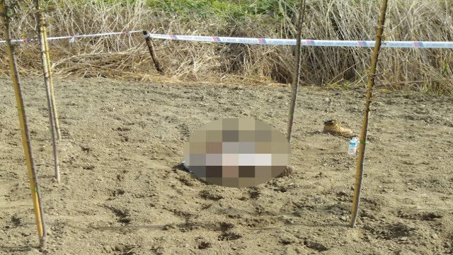 Bakıdan Nabrana getdi - daşla öldürüldü