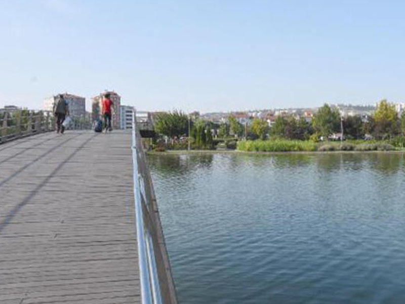 Anadan İNANILMAZ HƏRƏKƏT: 