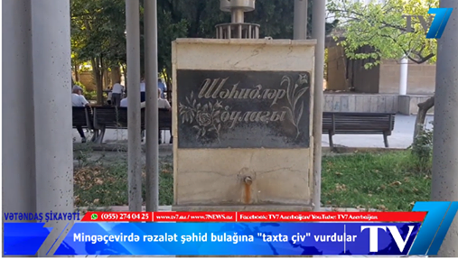 Mingəçevirdə rəzalət: ŞƏHİD BULAĞINDA 