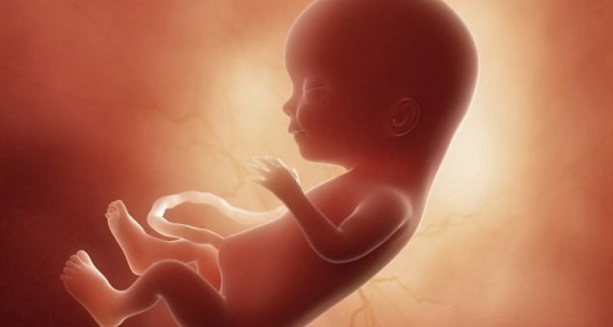 Японские ученые помогут парам настраивать пол детей