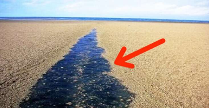 24 saatda ÖLÜM - Dənizə gedənlər MÜTLƏQ OXUSUN / VİDEO