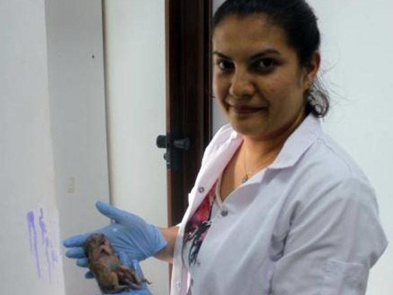 ŞOK: 6 ayaqlı doğuldu - FOTO