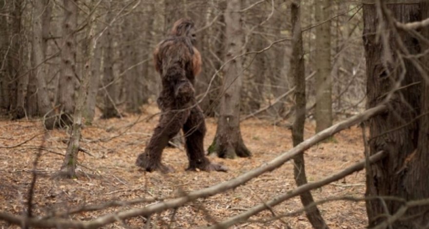 МВД об уджарском монстре