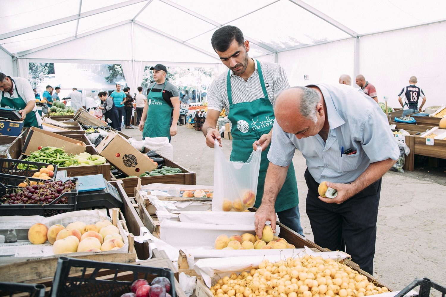 “Kənddən Şəhərə” yarmarkası davam edir