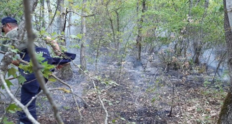 МЧС предотвратило распространение огня в Огузе, Габале, Агсу, Исмаиллы - ВИДЕО