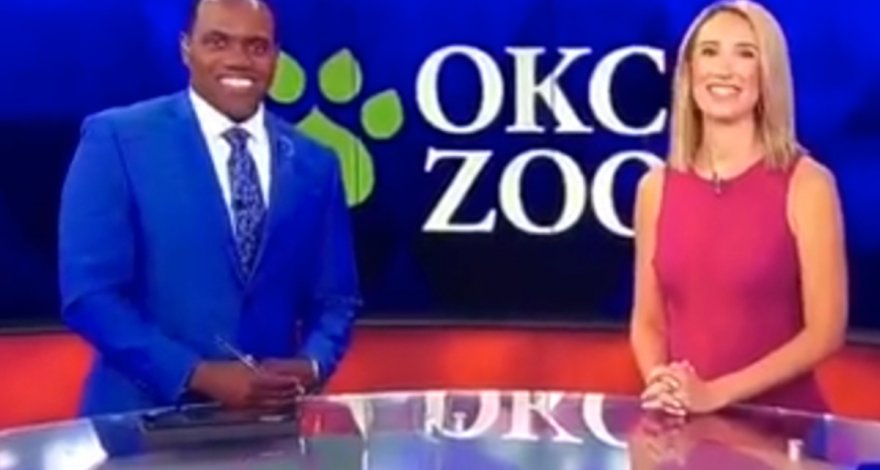 Телеведущая назвала темнокожего коллегу похожим на животное и разъярила зрителей