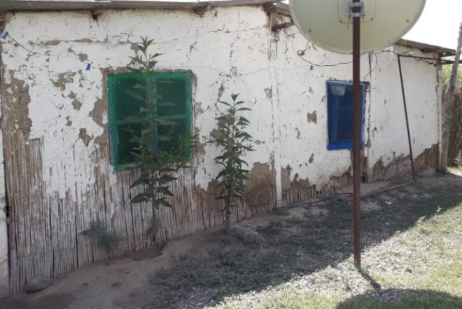 26 ildir qamış komada yaşayan ailə - Video