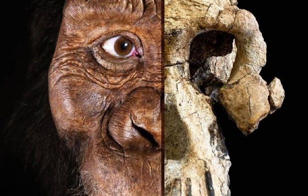 İlk insan belə görünüb - FOTO