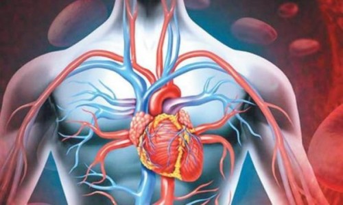Bu qidalar insan orqanizmini məhv edir - Siyahı