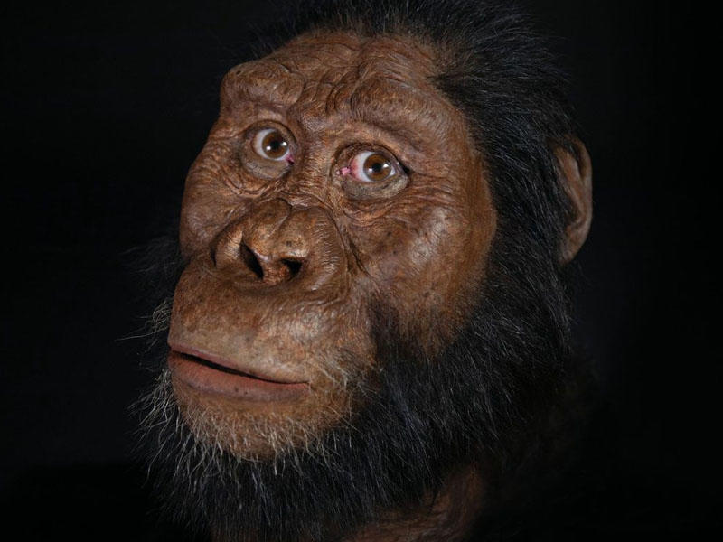 Edilən araşdırmalara son qoyuldu: İlk insan görüntüsü yayıldı