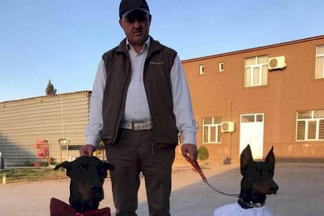 İtinə toy edən iş adamına böyük şok