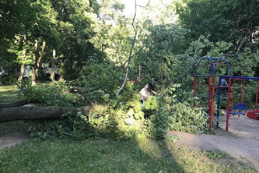 Uşaq bağçasında faciə - AĞAC UŞAQLARIN ÜSTÜNƏ AŞDI