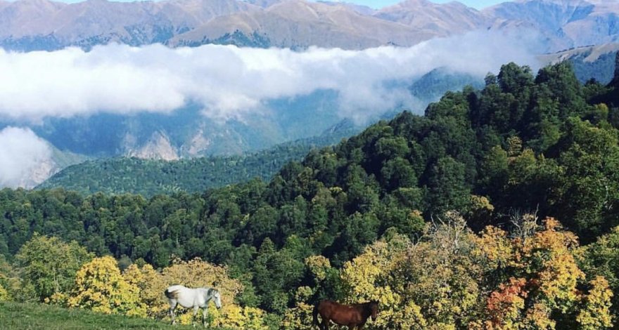 В Шеки выпал первый снег - ФОТО